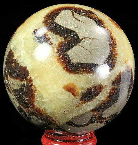 Polished Septarian Sphere - Madagascar #67873